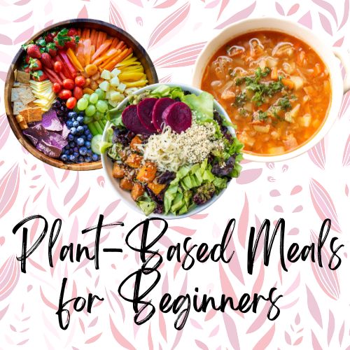 Quick and Easy Plant-Based Meals for&nbsp;Beginners